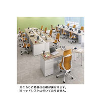 【無料引取付き】C681BW FMR8 |オカムラ シルフィー オフィスチェア ローバック アルミ脚 背メッシュ 可動肘付 オレンジ 1脚（直送品）