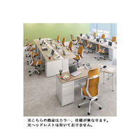 【無料引取付き】C683XW FSF9 |オカムラ シルフィー オフィスチェア ローバック 樹脂脚 背クッション 可動肘付 レッド 1脚（直送品）