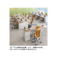 【無料引取付き】C687XW FSG3 |オカムラ シルフィー オフィスチェア ハイバック 樹脂脚 背クッション 可動肘付 ライトグレー 1脚（直送品）