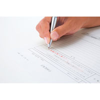 シヤチハタ ネームペントリノ (メールオーダー式) シルバー NP-TF1/MO 1本