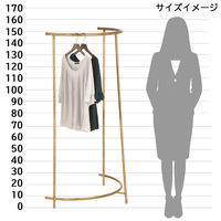 ストア・エキスプレス アンティークゴールドハーフラウンドハンガー 2114-30319（直送品）