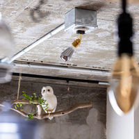 TIC 本体 1灯スポットライト 引掛シーリング用 ブラス TC-1001-BS 1個（直送品）