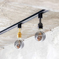 TIC 本体 1灯スポットライト ダクトレール用 ブラス TC-1002-BS 1個（直送品）