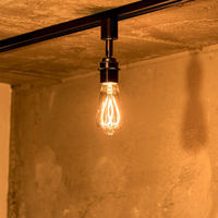 TIC スポットライト カーブ(ダクトレール用)ブラック/エジソン TC-1002-CURVE BK/ED 1セット（直送品）