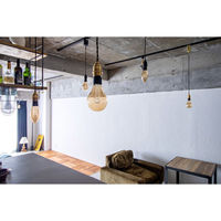 TIC 本体 1灯ペンダントライト ブラス TC-1004-BS 1個（直送品）