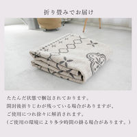 トシシミズ ディクトム ゴブランシェニールラグ DM-011 2000×2000mm アイボリー 4573109303236 1枚（直送品）