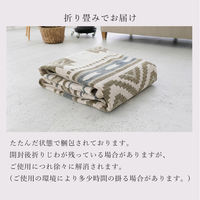 トシシミズ ディクトム ゴブランシェニールラグ DM-022 1400×2000mm グレー 4573109303700 1枚（直送品）