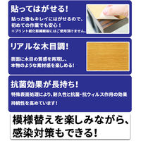 エイ・アイ・エス 抗菌・抗ウイルスシート 漆喰宣言 20x200cm 1枚入 SSN-001 NA（直送品）