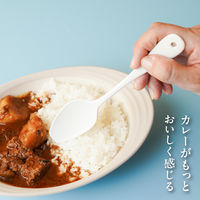株式会社藤栄 カレーがもっとおいしく感じるスプーン OSP-001 4545229172481 1本（直送品）