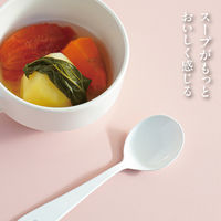 株式会社藤栄 スープがもっとおいしく感じるスプーン OSP-002 4545229172498 1本（直送品）