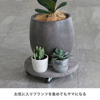 住まいスタイル セメント製キャスター付きプランターキャリー36cm TR360GRY 1個（直送品）