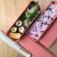 三好製作所 お弁当箱 GEL-COOL slim SL 2段 700ml マカロンピンク 423690 1個（直送品）