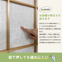 加栄レース 障子紙 障子に貼るレース 100cm×200cm 2枚入 絣 469424 1個（直送品）