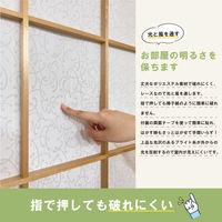 加栄レース 障子紙 障子に貼るレース 100cm×200cm 2枚入 カール 469425 1個（直送品）