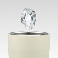 スケーター タンブラー 480ml イージーマグボトル スヌーピー 490071 1個（直送品）