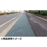 藤原産業 セフティー3 高密度不織布防草シート 無緑(むえん) 1m×20m 66854 1個（直送品）