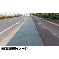 藤原産業 セフティー3 高密度不織布防草シート 無緑(むえん) 1m×50m 66855 1個（直送品）
