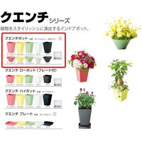 大和プラスチック ヤマト クエンチポット Sー100 0.8L ブラック 71986 1セット(16個)（直送品）