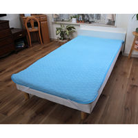 ガマカ工業 ぬくぬく&サラリのリバーシブル敷パッド ダブル ブルー a3567920 1枚（直送品）