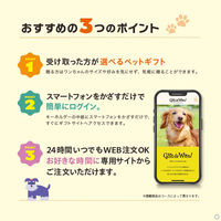 大和 〈cane(カーネ)〉Gift da Won! YM682 1個（直送品）