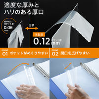 リヒトラブ リクエスト 広い間口で出し入れしやすいクリヤーポケット ファイル 交換用 A4 30穴 G49270 1組（直送品）