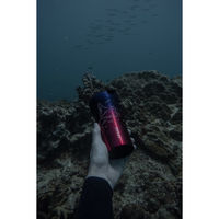 STTOKE ストーク タンブラー Lサイズ Ombre Ocean 12oz 355ml 数量限定カラー Manta 495178 1個（直送品）