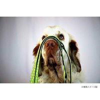 ルークラン リード 犬 M マックス&モーリー 中型犬 1.2m キウイ 437645 1個（直送品）