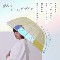 小川 雨傘 長傘 LINEDROPS クリア バイカラー アンブレラ 60cm 手開き式 イエロー 489431 1個（直送品）