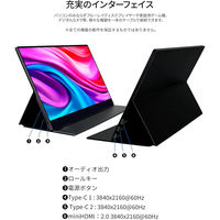 JAPANNEXT 15.6インチ 4Kワイド タッチパネルモバイルディスプレイ JN-MD-IPS1563UHDR-T 1台（直送品）