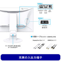 EIZO FlexScan EV2400R EV2400R-BK 1台（直送品）