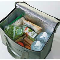 リマーク 大きな保冷温ボックスバッグ 82392 1個（直送品）