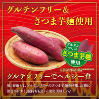 医食同源ドットコム 麻辣湯 88g 4562355175391 1個(88g)（直送品）