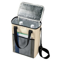 リマーク ナチュラルカラー保冷温ボックスバッグ 82391 1個（直送品）