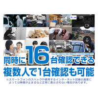 カシムラ スマートホームカメラ KJ-181 1個（直送品）