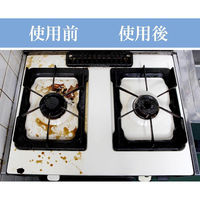 富士パックス 換気扇レンジフードクリーナー泡ピタ110番 カンキセンレンジフードクリーナーアワピタ110バン 1個（直送品）