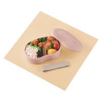 サーモス フレッシュランチボックス DJV-570 SKR 1個（直送品）