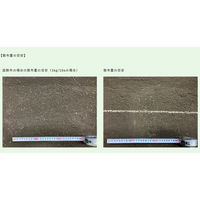 ファイトクローム ZEBA 66006 1個(5kg)（直送品）