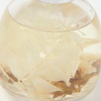 ハーバリウムディフューザー コットン COTTON LAKOLE/ラコレ