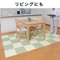 サンコー バリアフリータイルマット 2色組 ライトグリーン/アイボリー KH-19 1個（8枚入）