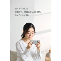 ワイヤレス充電器 Qi2 25W 卓上パッド マグネット式 高速充電 シルバー W-MA12SV エレコム 1個（直送品）