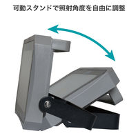 朝日電器 LED投光器 2000ルーメン 昼白色相当 LFL-1002 1個（直送品）