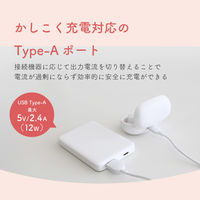 オウルテック 5000mAh12W対応USB-C入出力/USB-A出力モバイルバッテリー OEC-LPB5028-WH 1個（直送品）