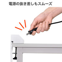 朝日電器 延長コード 耐雷 集中スイッチ付き デスク用 4個口/2m PD20W ホワイト WLS-DS4222SUC(W) 1個（直送品）