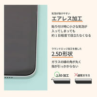 オウルテック iPadA16/第10世代対応 画面保護ガラス(マット) OWL-GSIH1101-AG 1個（直送品）