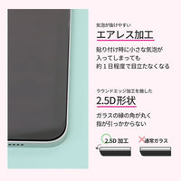 オウルテック iPad AirM3/M2対応 画面保護ガラス(マット) OWL-GSIH1102-AG 1個（直送品）