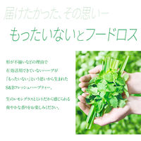 ヱスビー食品 フレッシュハーブティー レモングラス＆ミント 350ml 1セット（48本）