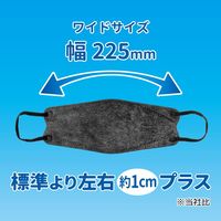 3D立体型マスク 5枚入 ワイドサイズ 黒 10袋セット DYB05-10-AS 1セット（10袋） エスパック（直送品）