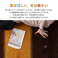 萩原 ウール素材でふっくら贅沢な踏み心地 ギャッベラグ LORRI BUFF 450×750mm A1 270069210 1枚（直送品）