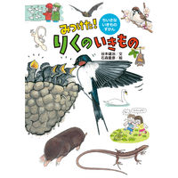 図鑑 みつけた！ちいさないきものずかん （既4冊） 978-4-494-04623-2 1セット 童心社