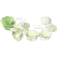 絵本 食育えほん どーんと やさい （既8冊） 978-4-494-04589-1 1セット 童心社